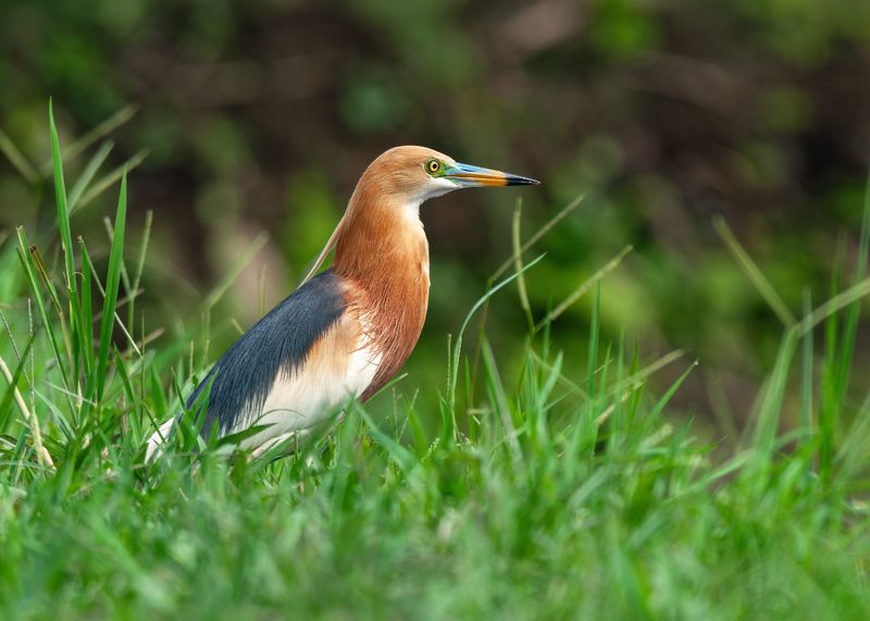 Встречайте меня по одёжке фото превью