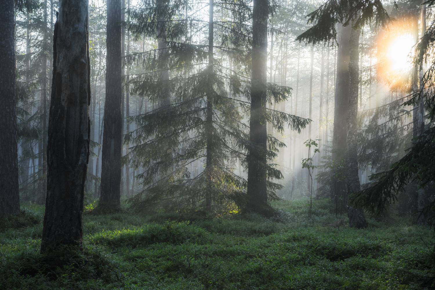 , Руслан Авдевич