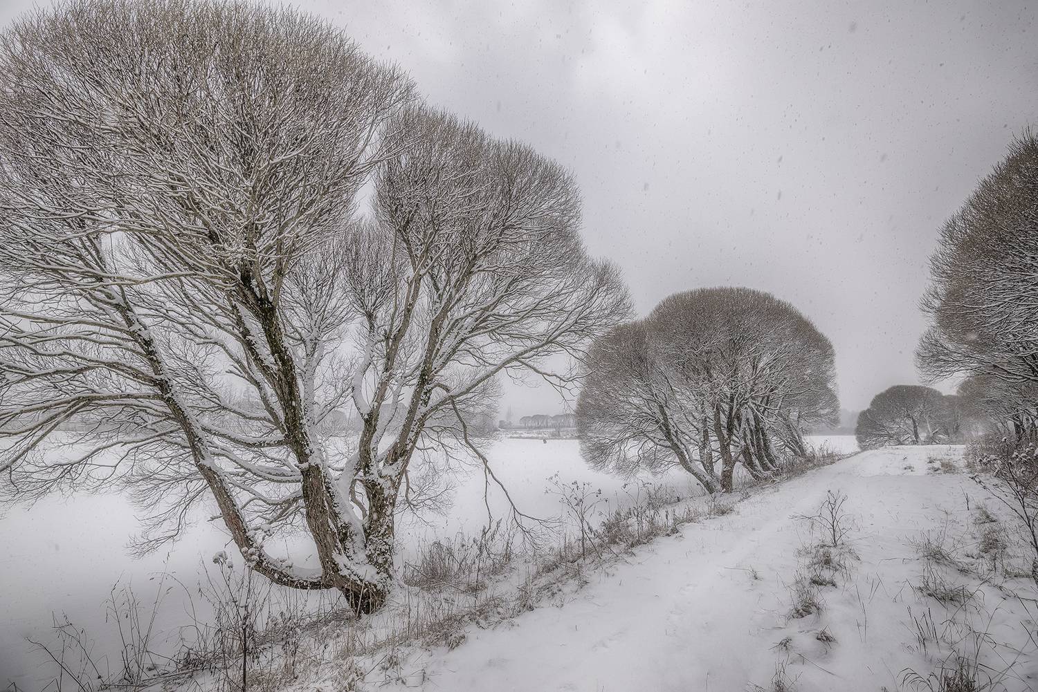 , Сергей Аникин