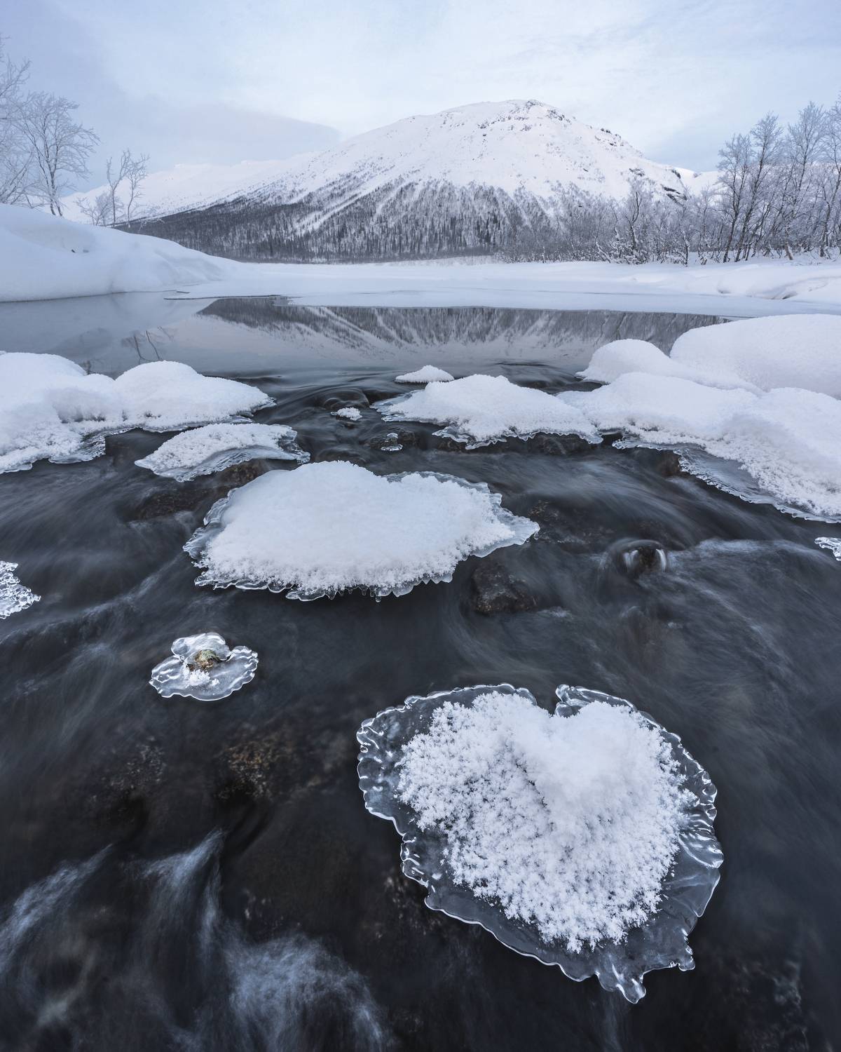 , Андрей Гусаров