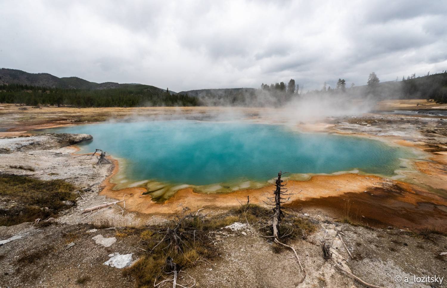 , Лозицкий Александр