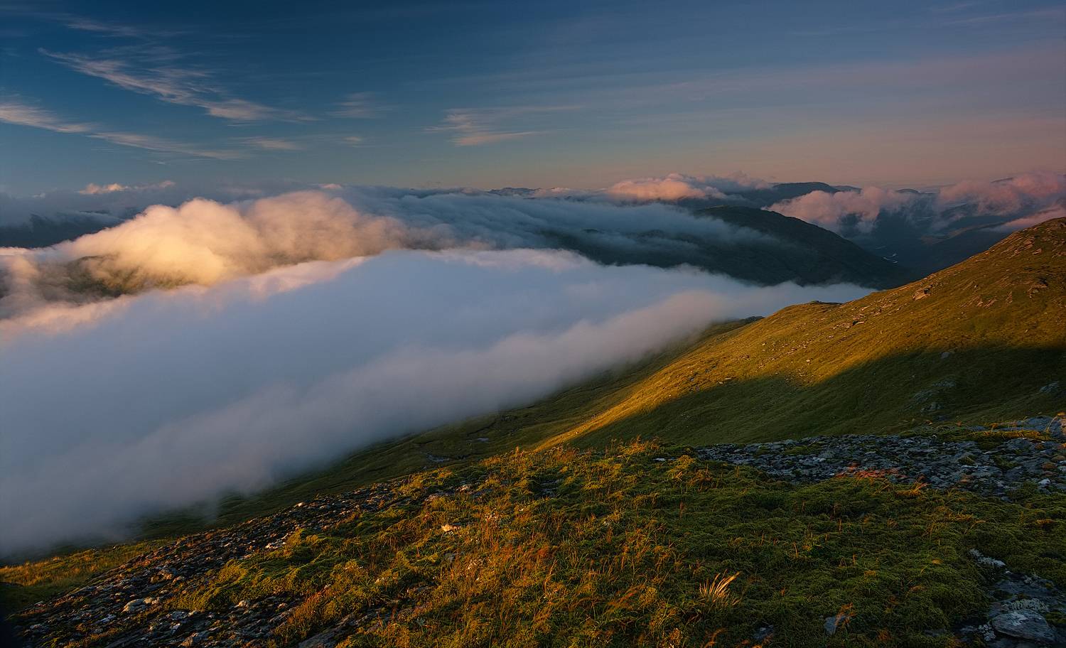 , Wojciech Tarnowski