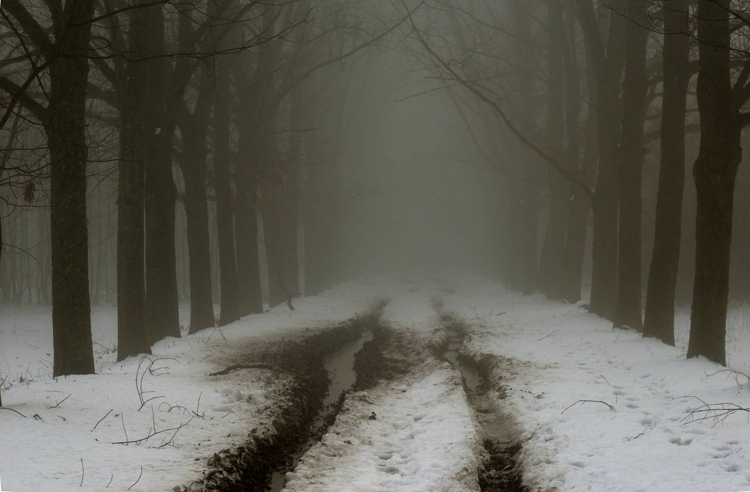 зима туман дорога, Александр Жарников