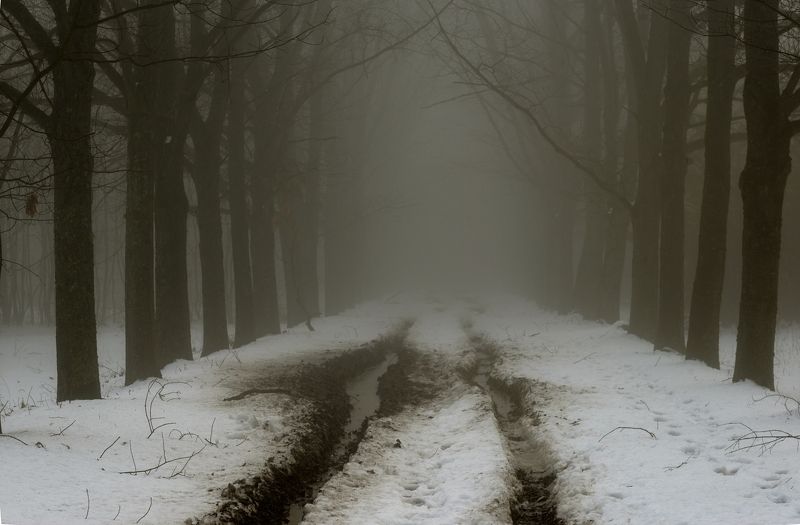 Зимний путь фото превью