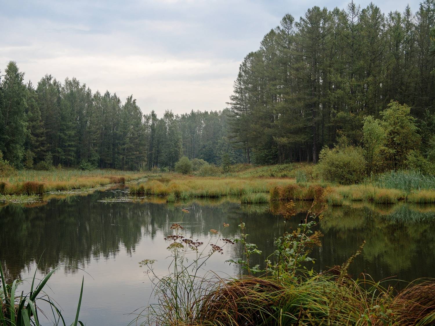 пейзаж, природа, осень, лес, пруд, небо, облака, DX