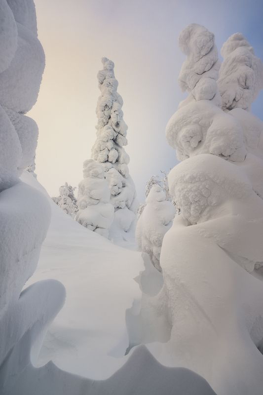 гух, главный уральский хребет, урал, северный урал, природа, пейзаж, закат, зима, сергейалтушкин Зимние изгибы фото превью