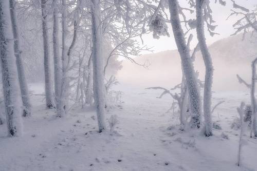 Морозный туман