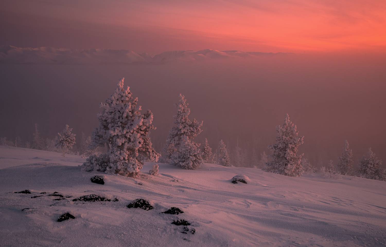 , Истомин Виталий