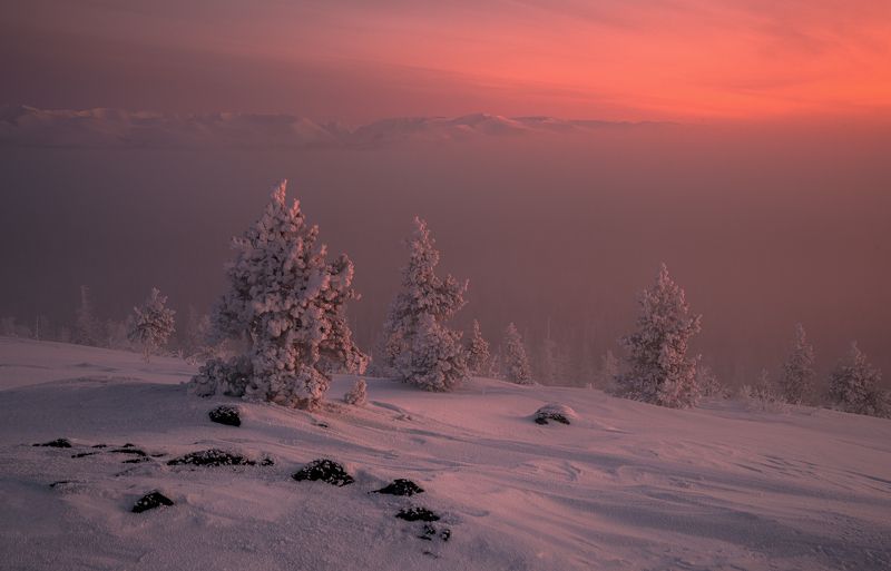 Морозным утром  фото превью