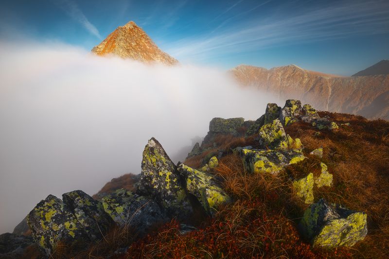 Shy queen фото превью