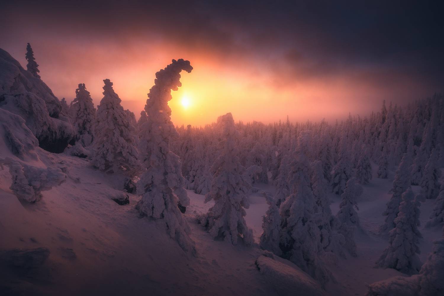 , Силантьев Даниил