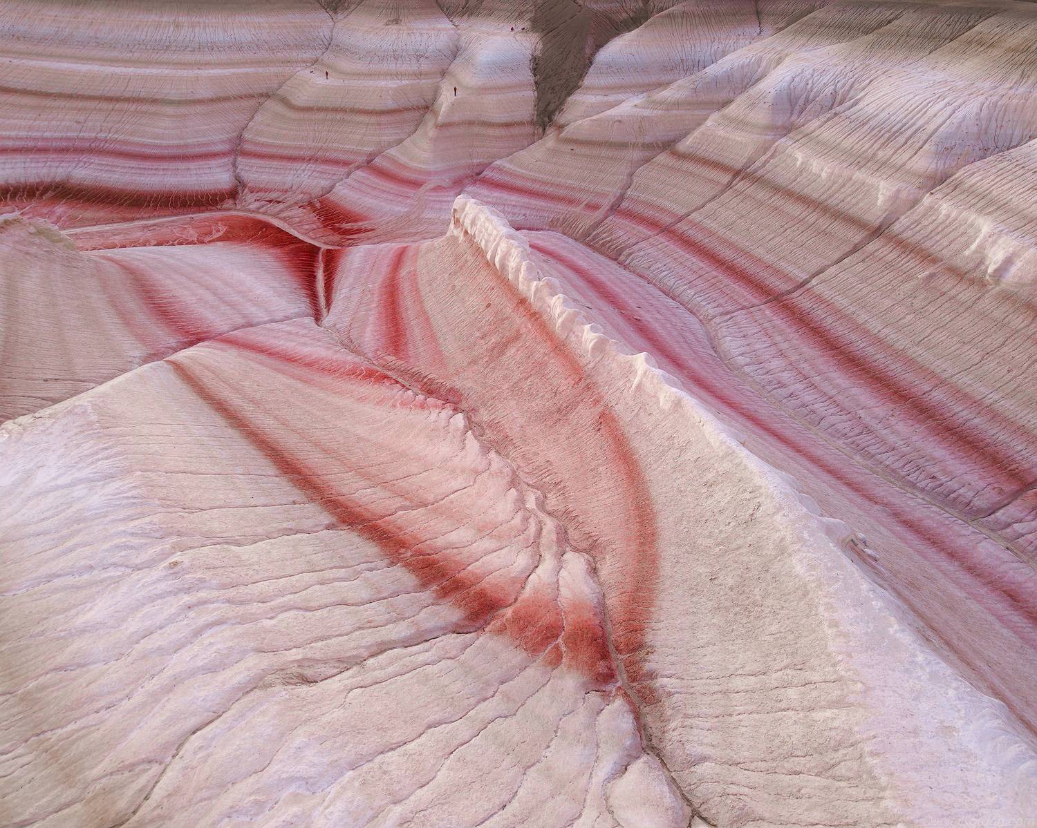 Kazakhstan, Даниил Коржонов