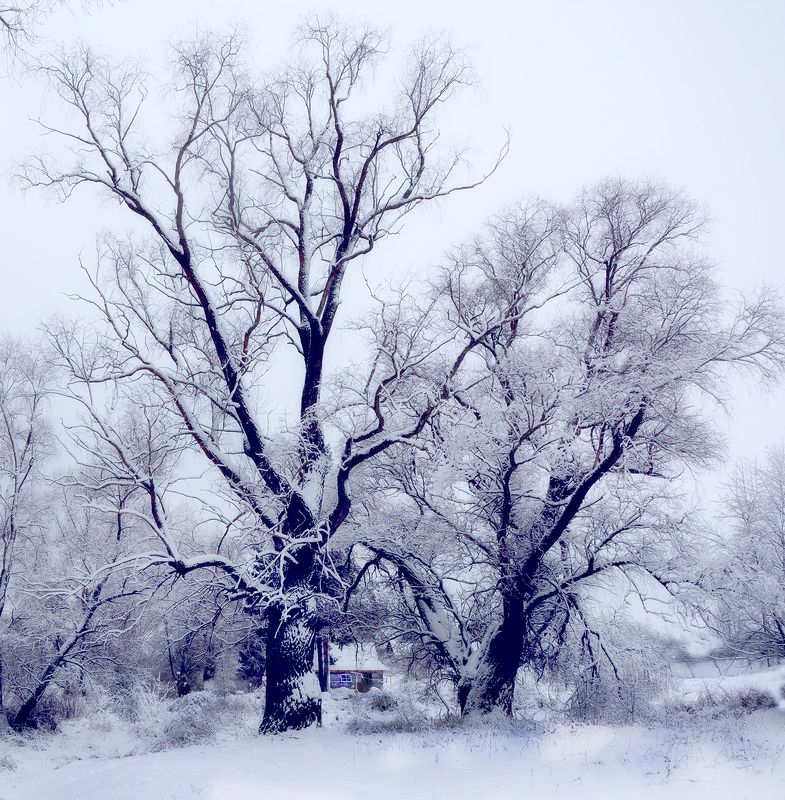 Снежная сказка фото превью
