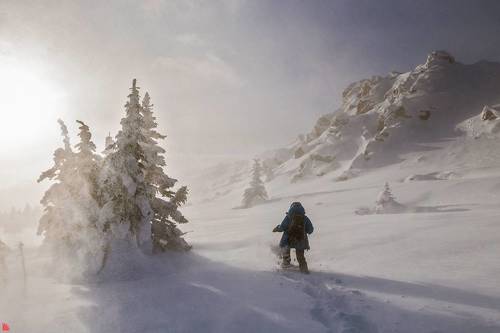 В поисках кадра