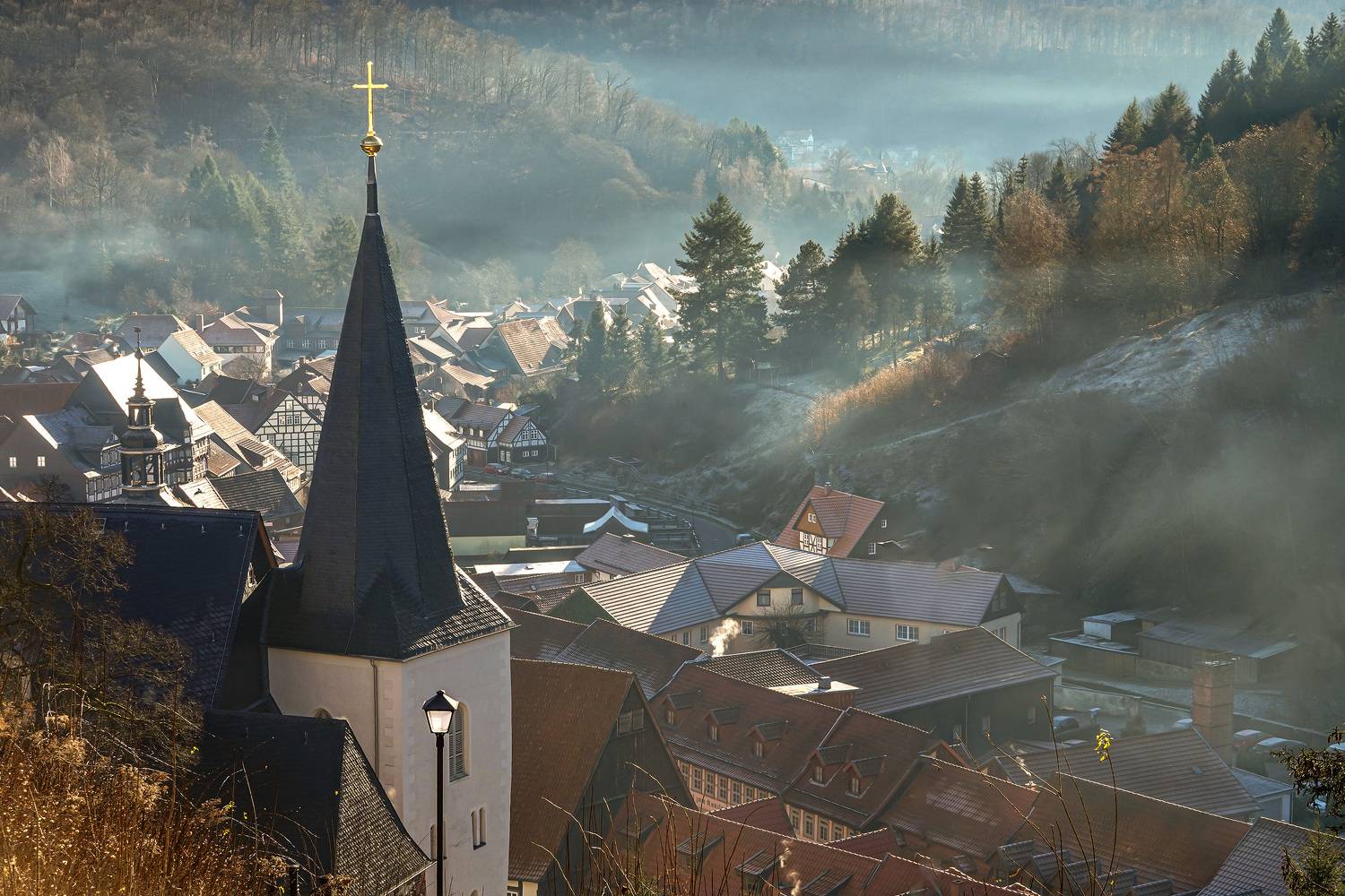 , Игорь Дубровский