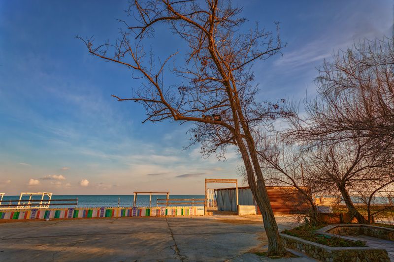 Пришла весна, коты прилетели фото превью