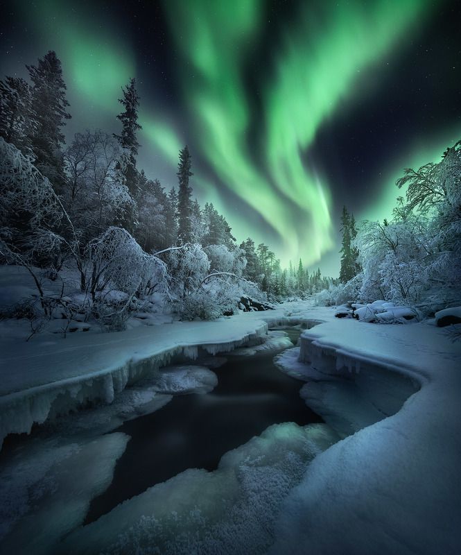 кольский, север, северное сияние В лучах зелёного счастья фото превью