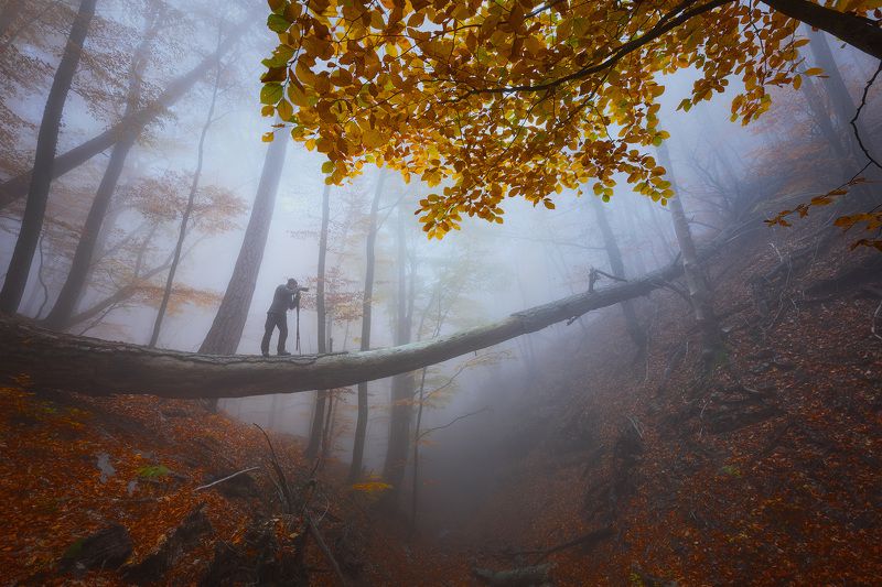 Где-то в Крыму фото превью