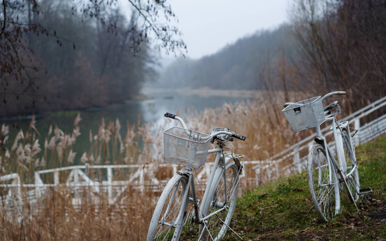 , Вертиков Юрий