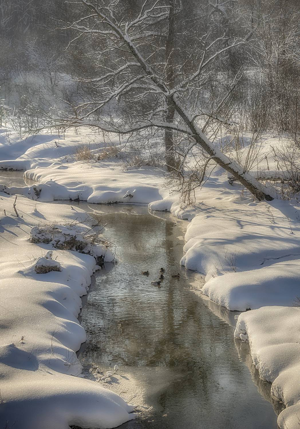 , Сергей Аникин