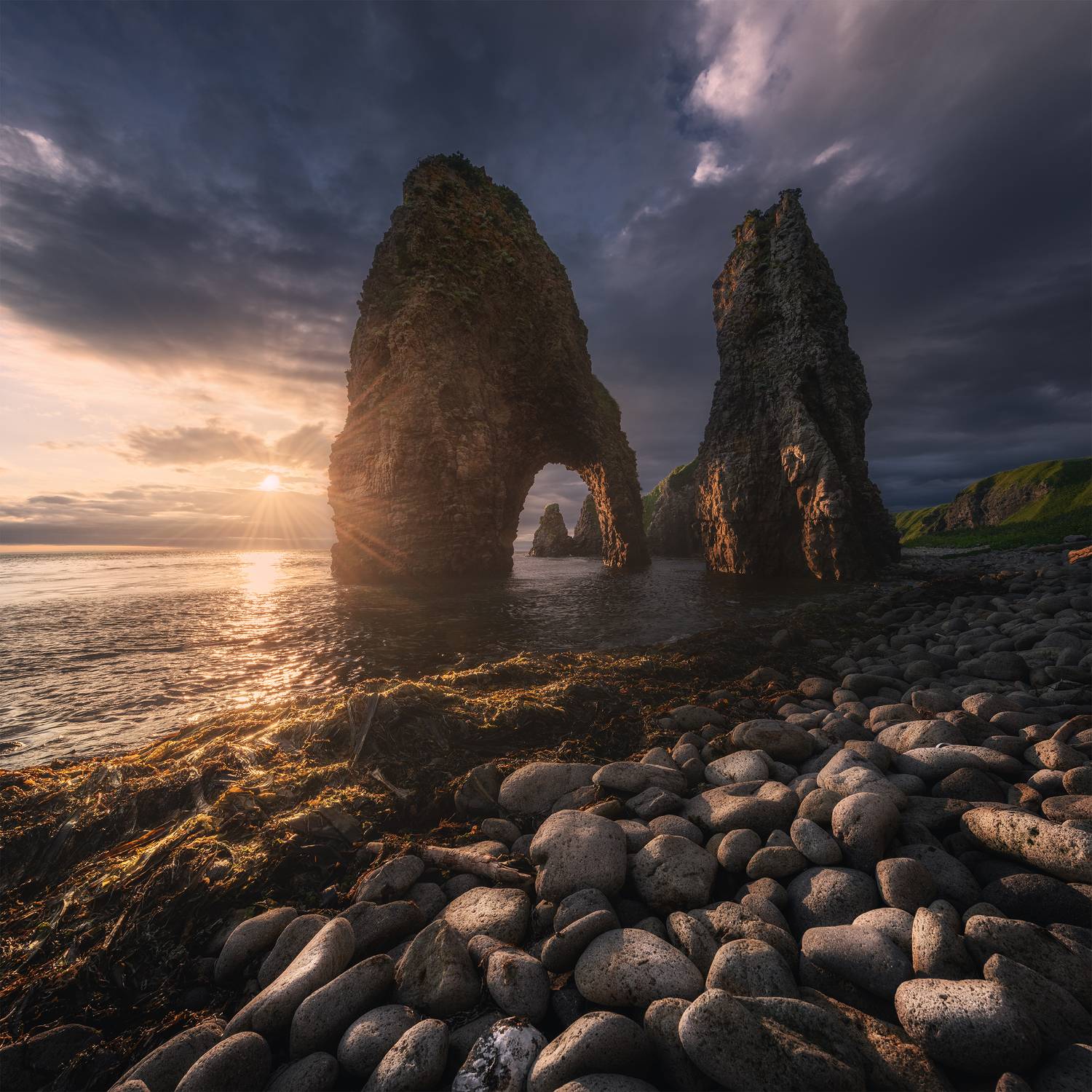 , Политова Анна