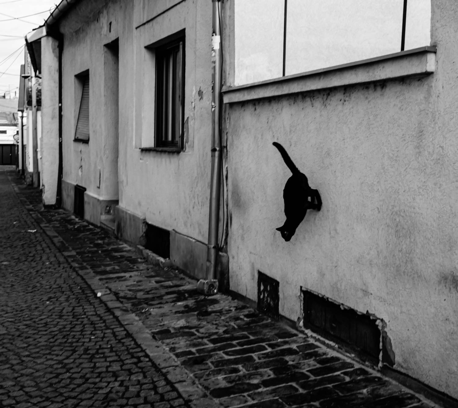 , Шилов Александр