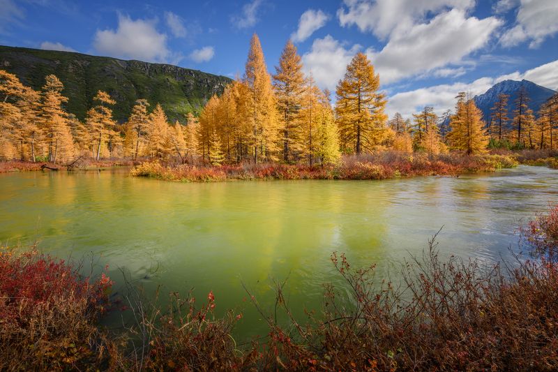 озеро джека лондона Полноводный Неведомый... фото превью