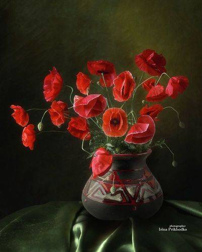 Огненный танец маков