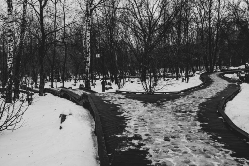 P295 фото превью