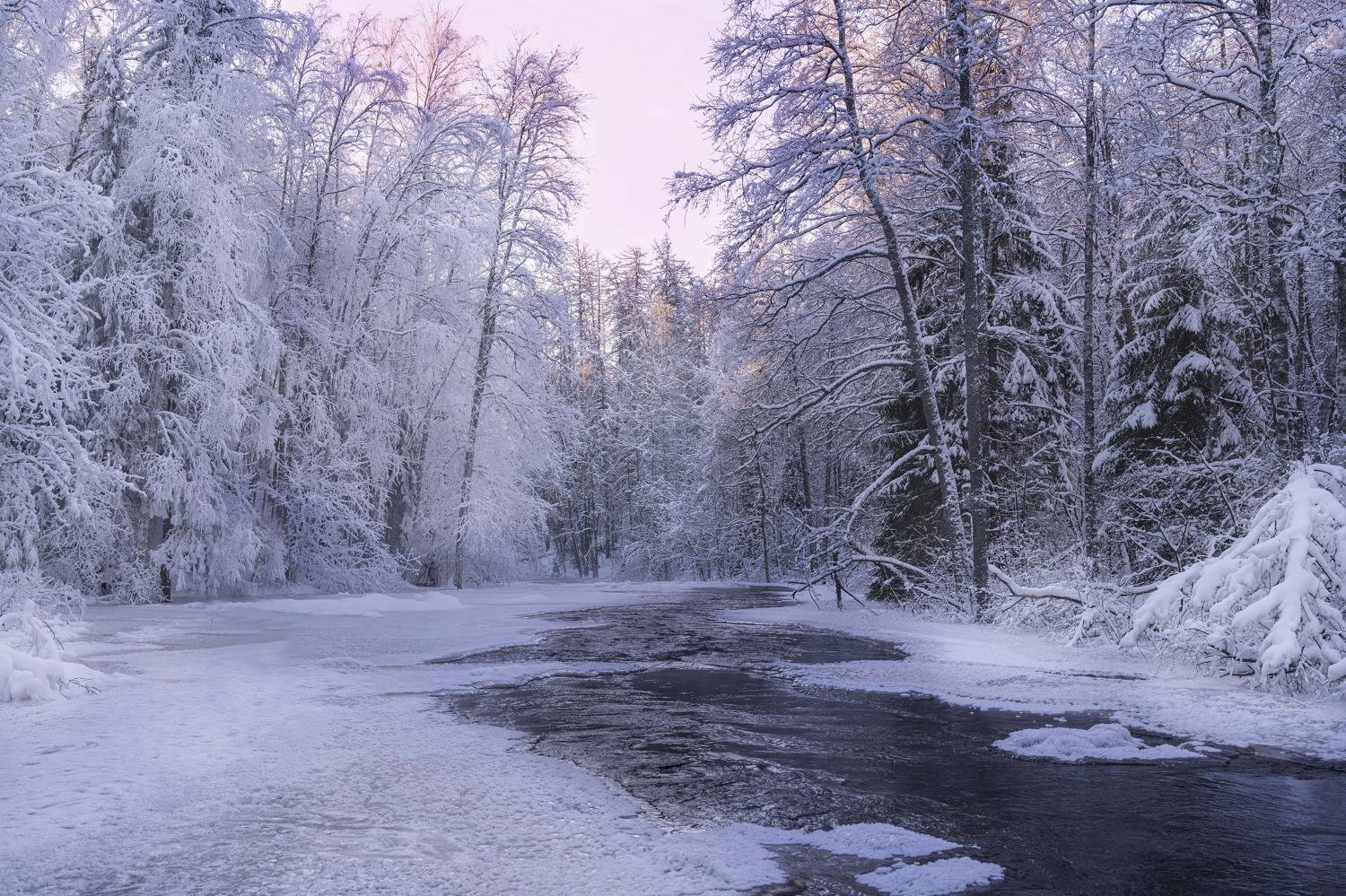 зима, мороз, пейзаж, река, зимняя река, ленинградская область, линдуловская роща, заповедник, река рощинка, Галина Дейнекина