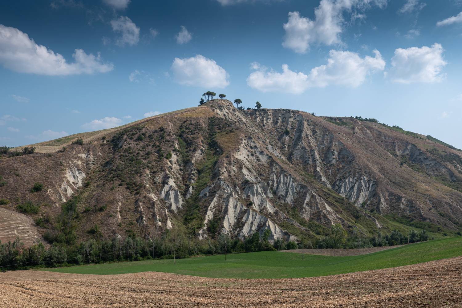 , Гордон Николай