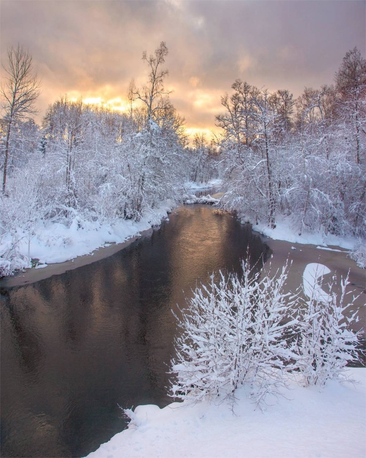 , Петр Косых