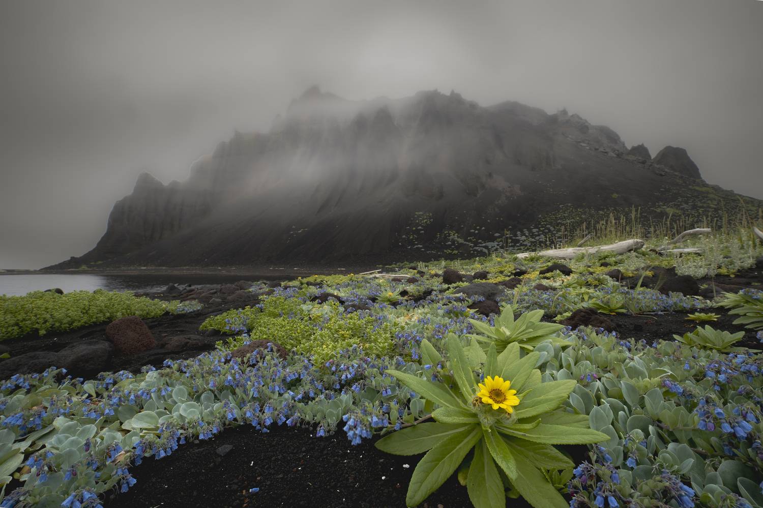 , Лаврентьев Александр