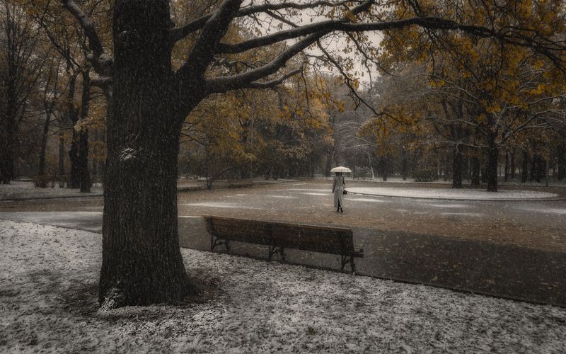 +++ фото превью