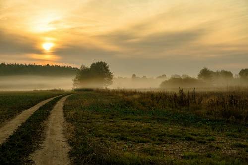 Осеннее поле.