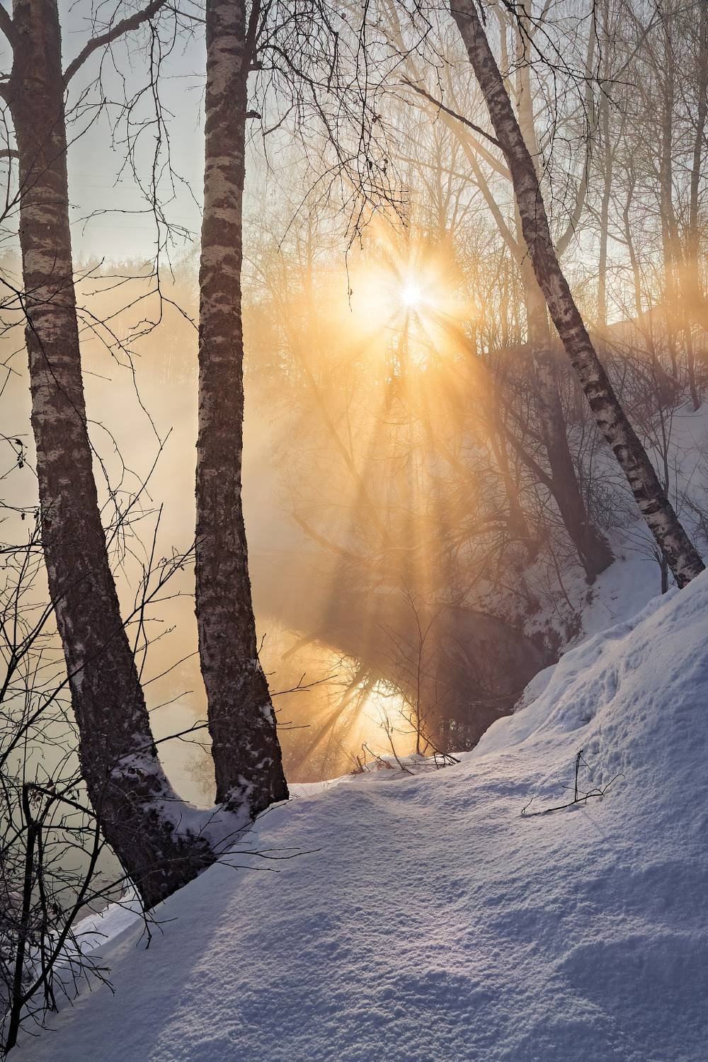 , Евгений Ерохин