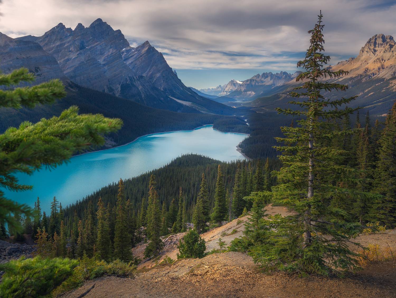 Canada, Banff, Peyto, landscapes, photography , Lukas Trixl