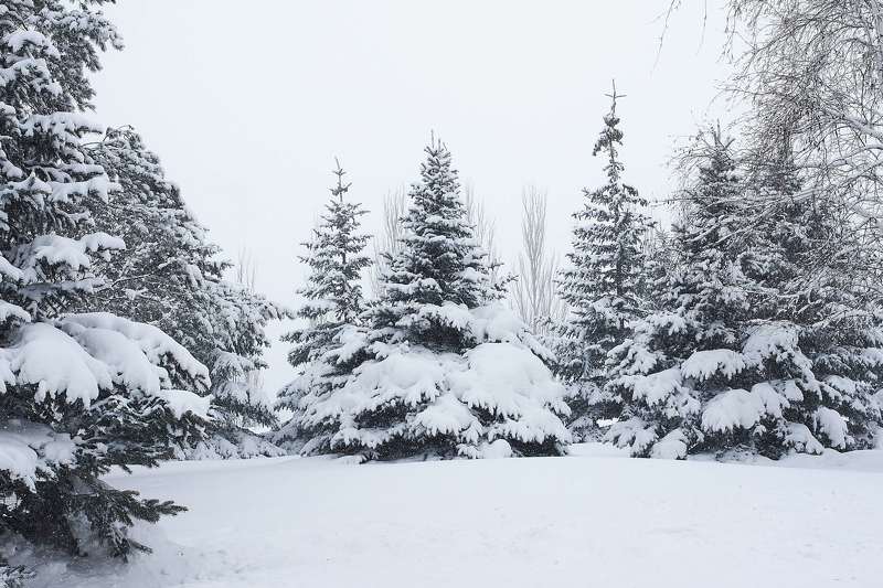 # фото превью