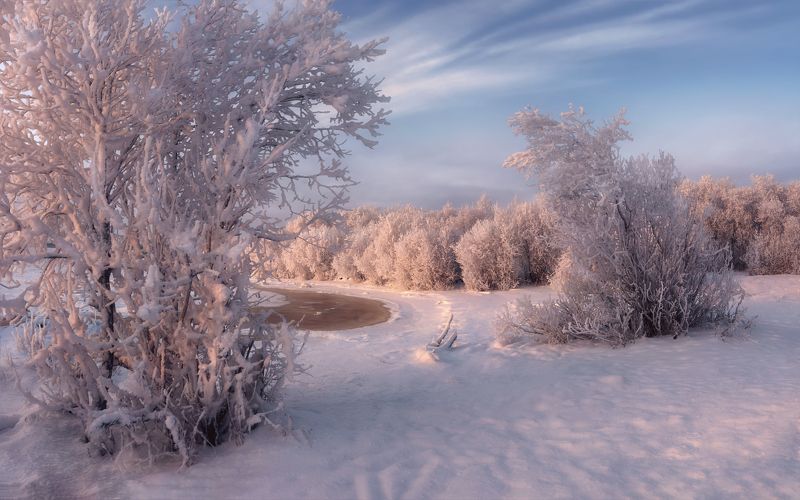 панорама, зима, декабрь, иней, мороз, снег, деревья, кусты, вечер, розовый, небо, голубое, архангельск Вечер тихий и морозный (c) фото превью