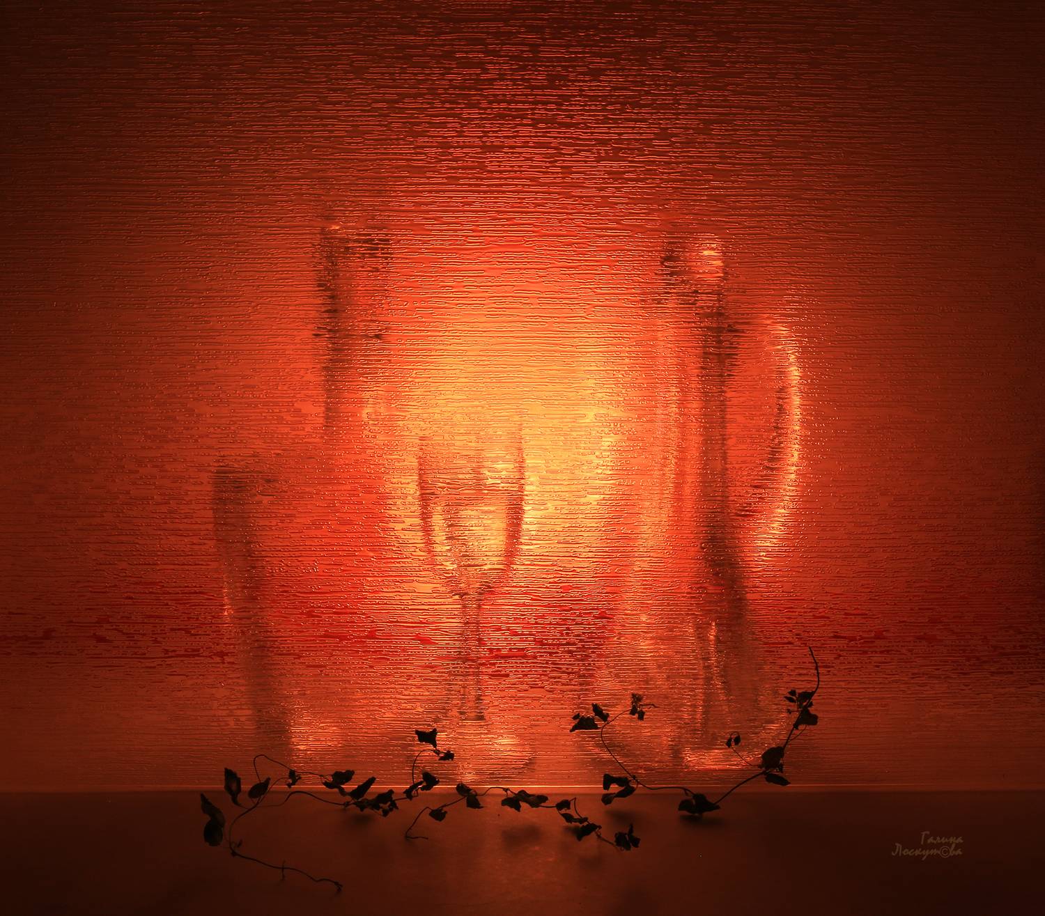 графин, рюмка, стекло, ветка, контровой свет, Галина Лоскутова