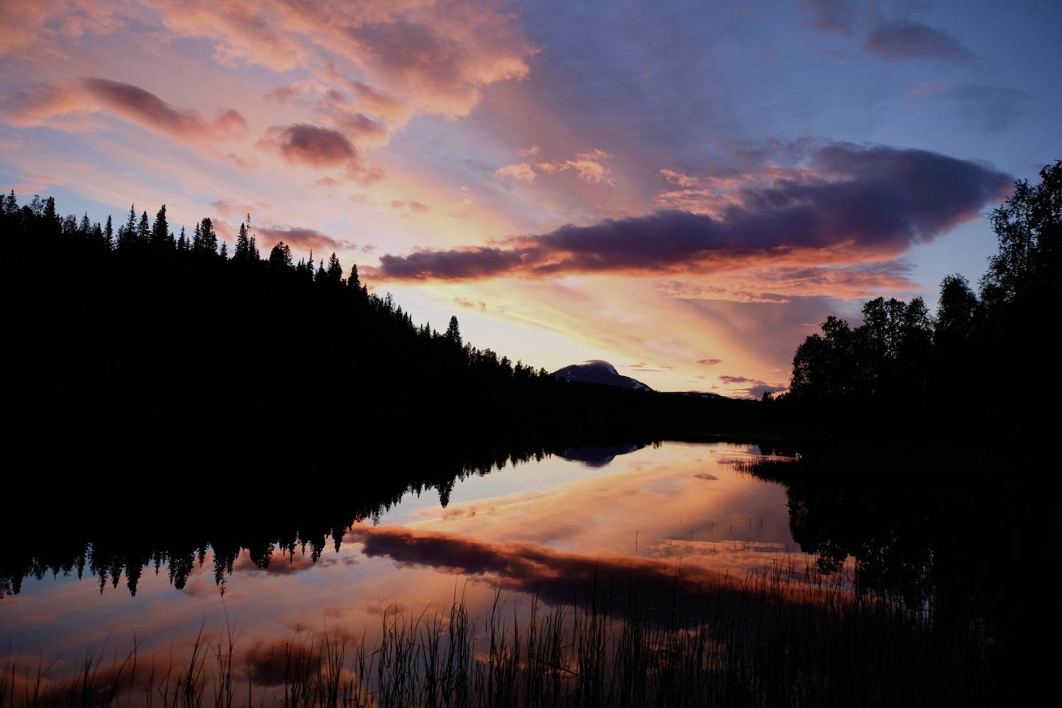 landcapes, norway, lake, r&oslash;ssvatnet, colors, summer, reflection, forest,, Svetlana Povarova Ree