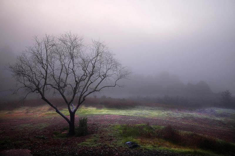 perspective Ожидание фото превью