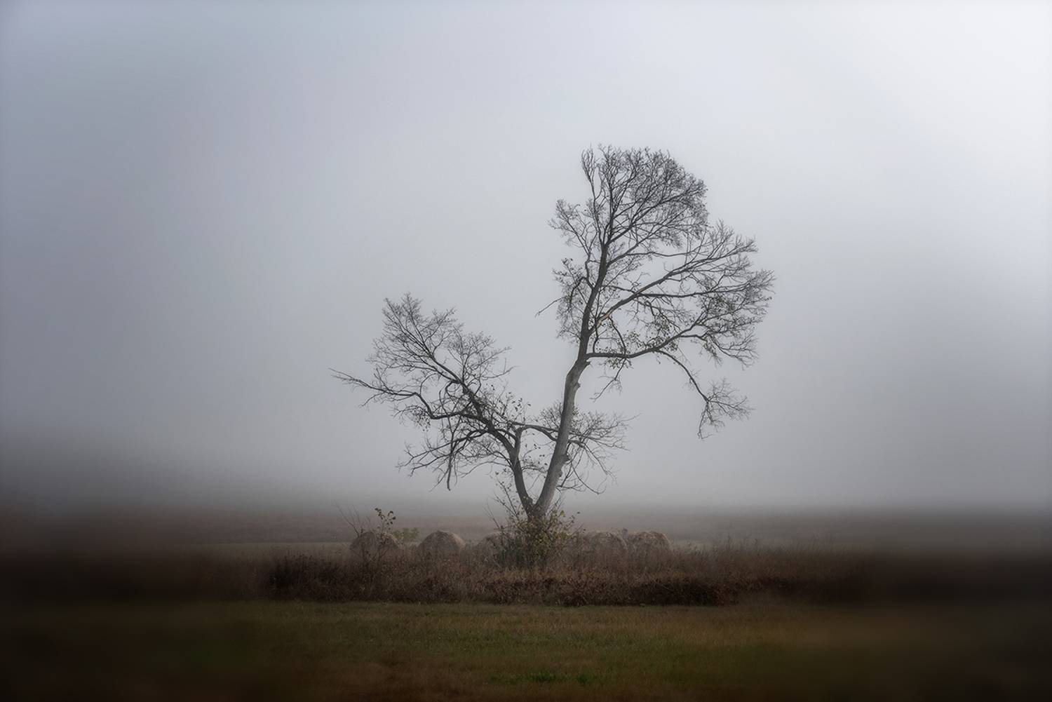 ***, Влад Шерман