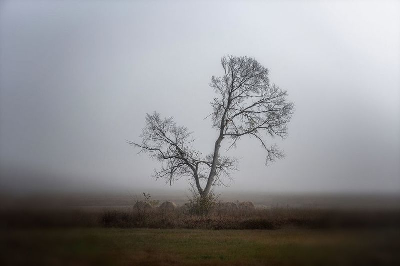 *** *** фото превью