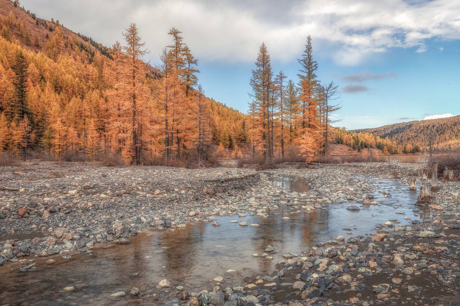 алтай, Гусева Елена