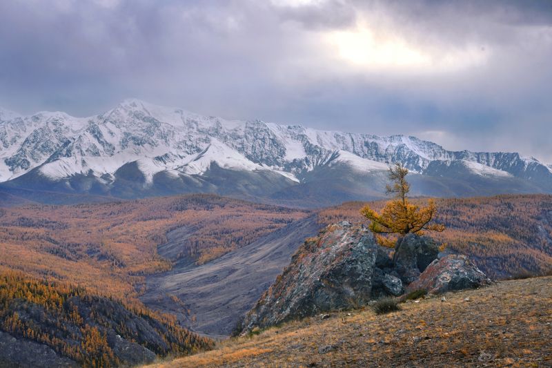 Осенний Алтай фото превью