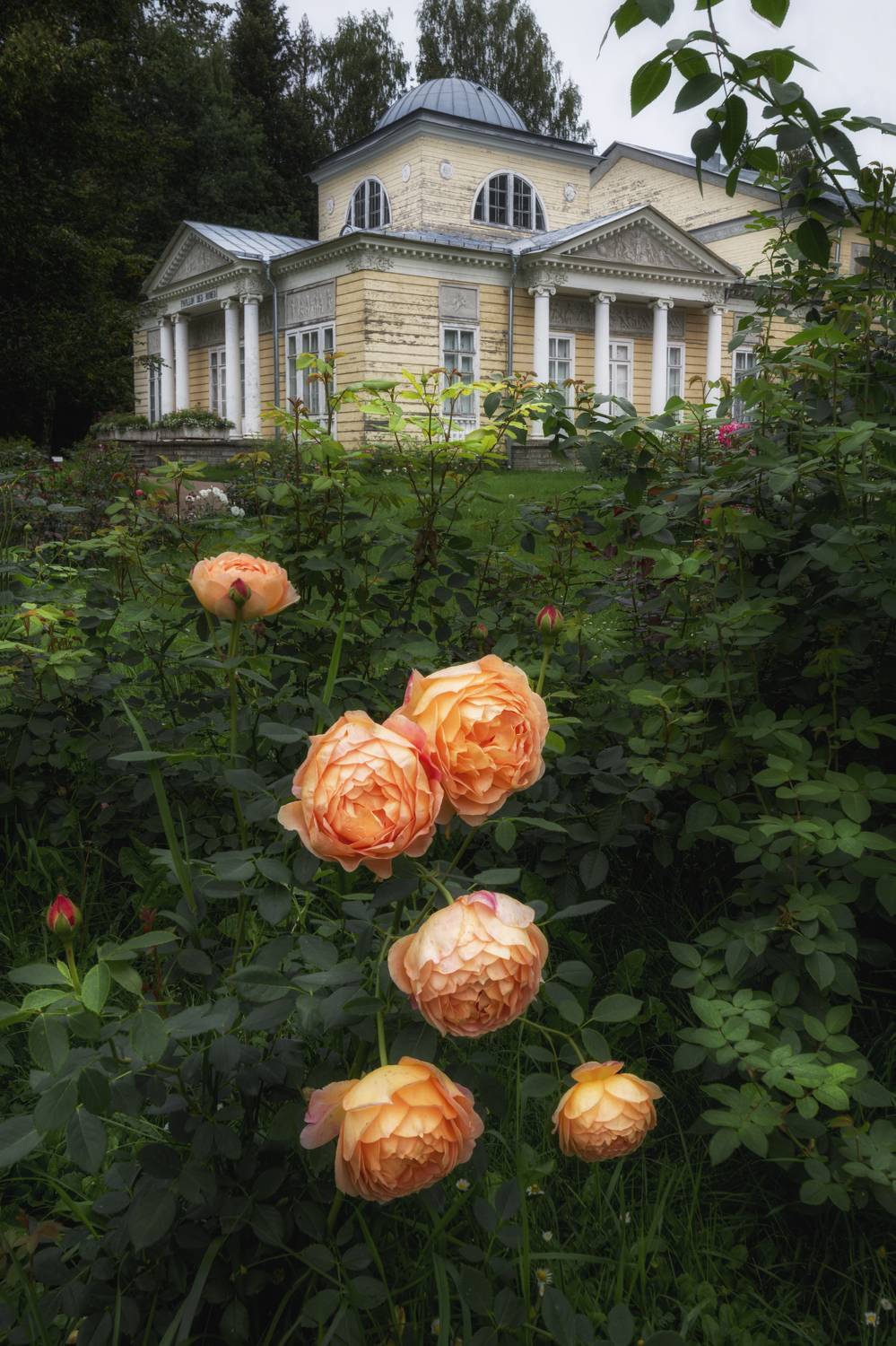 , Вышарь Максим