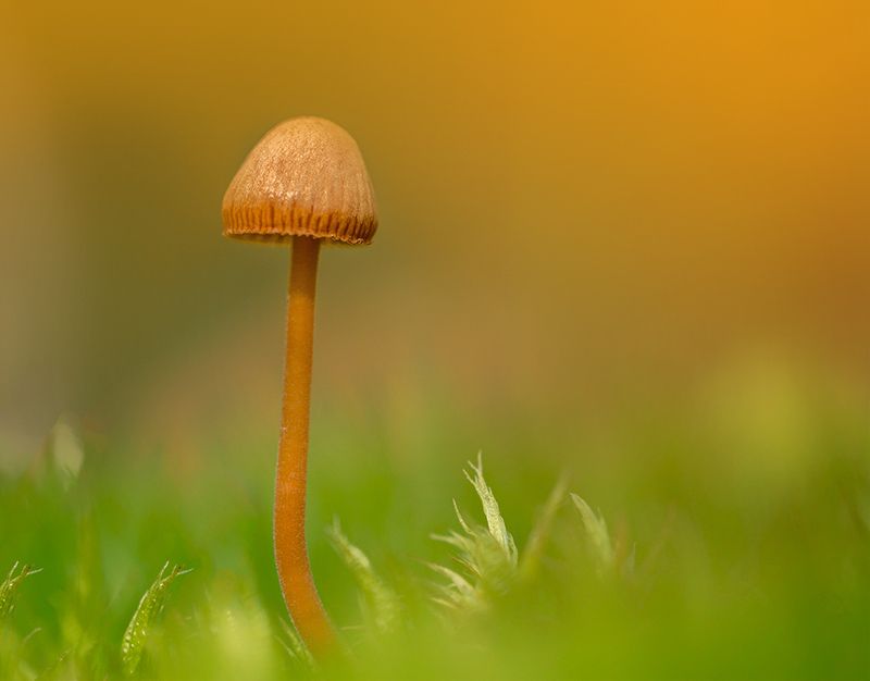 Минимализм. фото превью