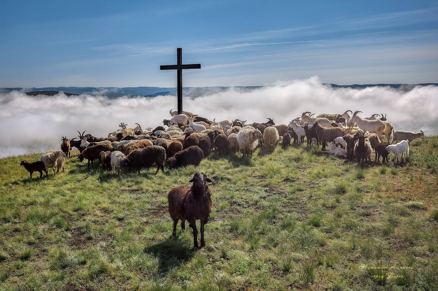 , Никитин Алексей