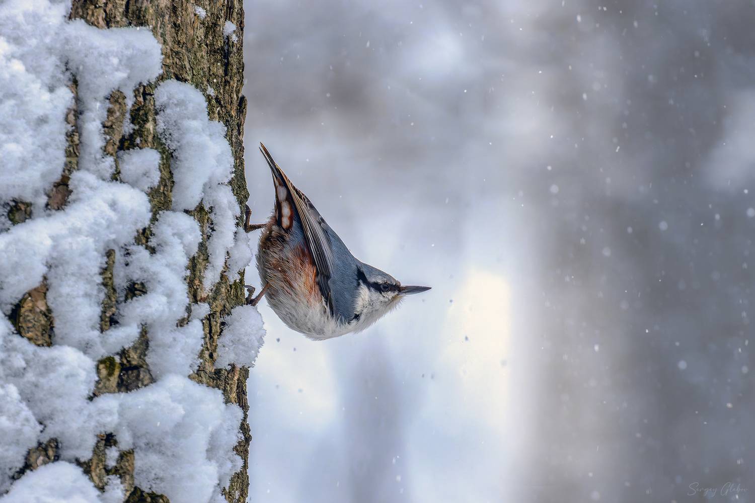 , Глебов Сергей